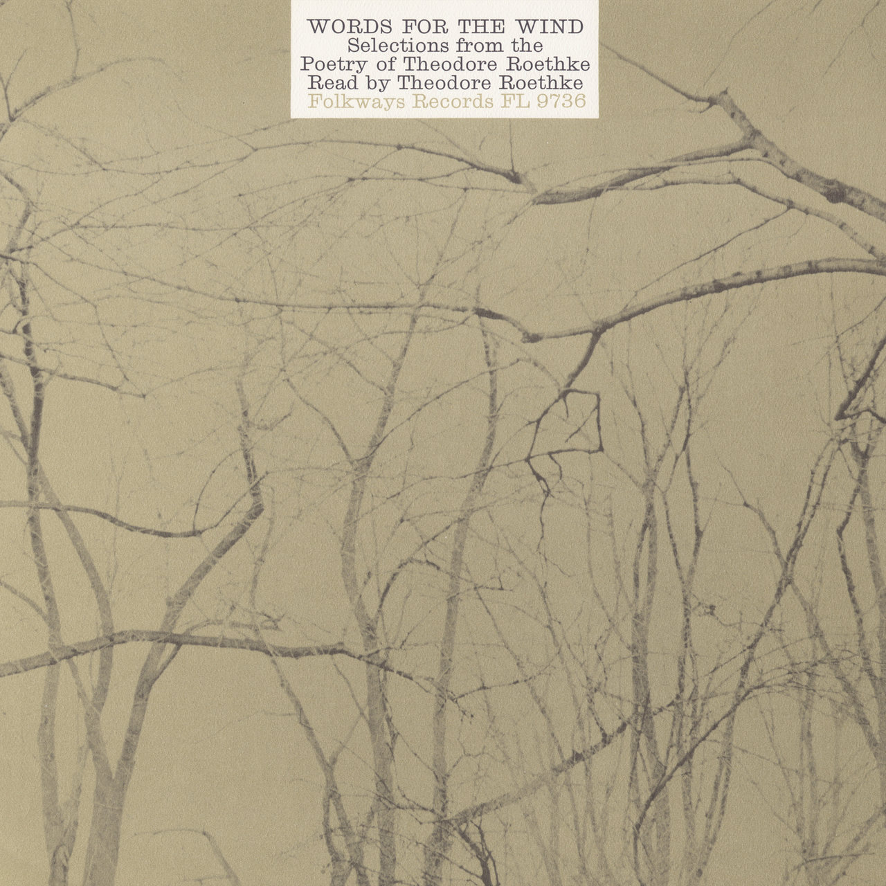 Theodore Roethke words for the wind Theodore Roethke words for the wind