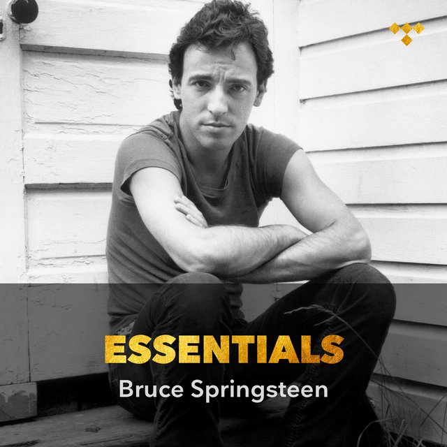 Bruce Springsteen Essentials