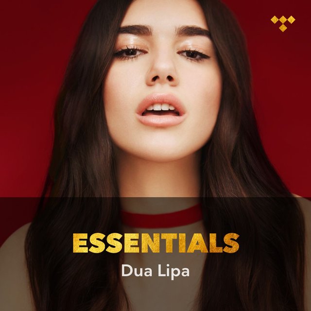 Dua Lipa Essentials