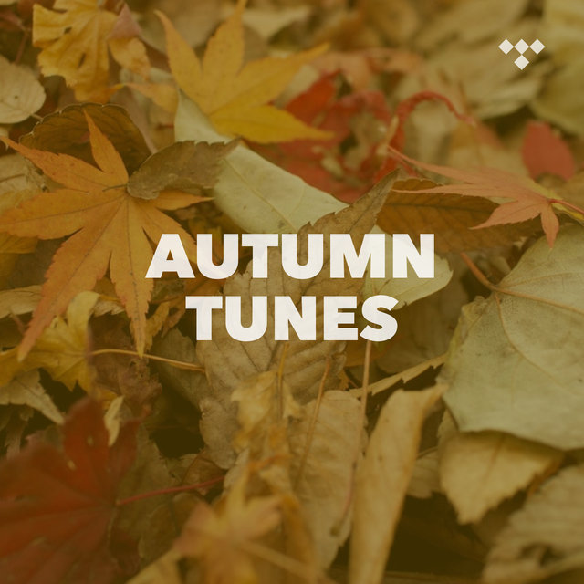Autumn Tunes