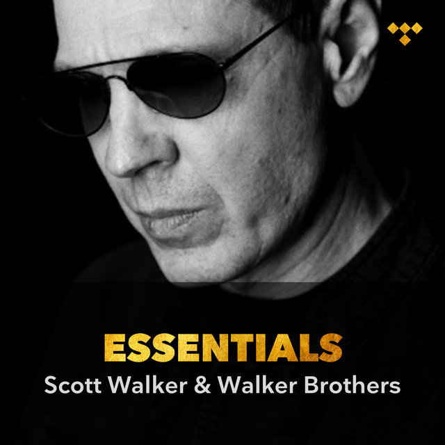 Scott Walker & The Walker Brothers Essentials