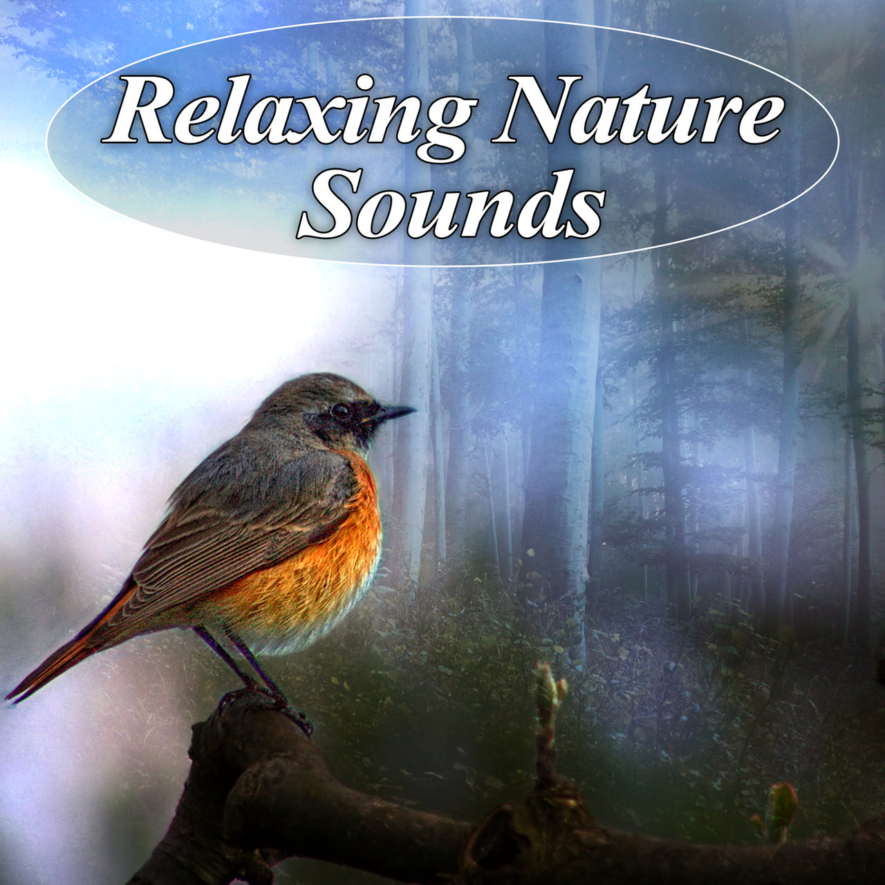 relax sounds of nature