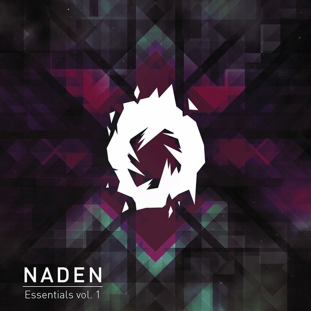 naden tokamak