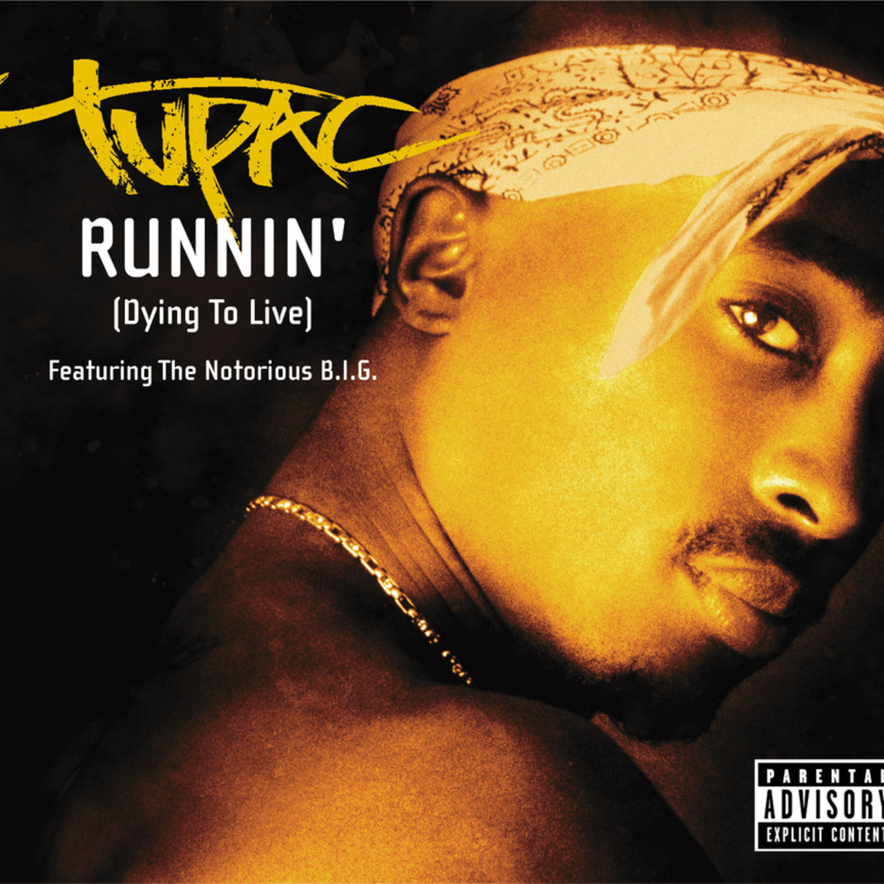 2pac ft nate dogg thugs get lonely too mp3 download 2pac ft nate dogg thugs get lonely too mp3 download