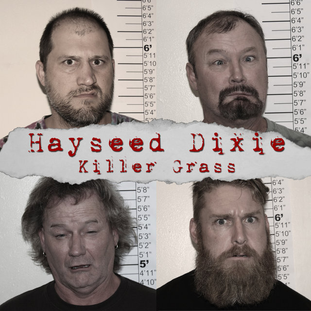 Listen To Hair Down To My Grass By Hayseed Dixie On Tidal