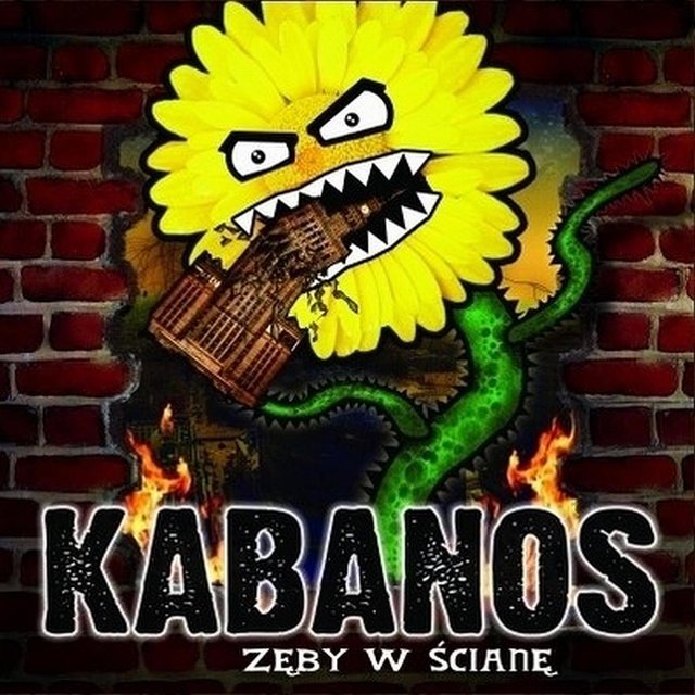 kabanos szarlatan