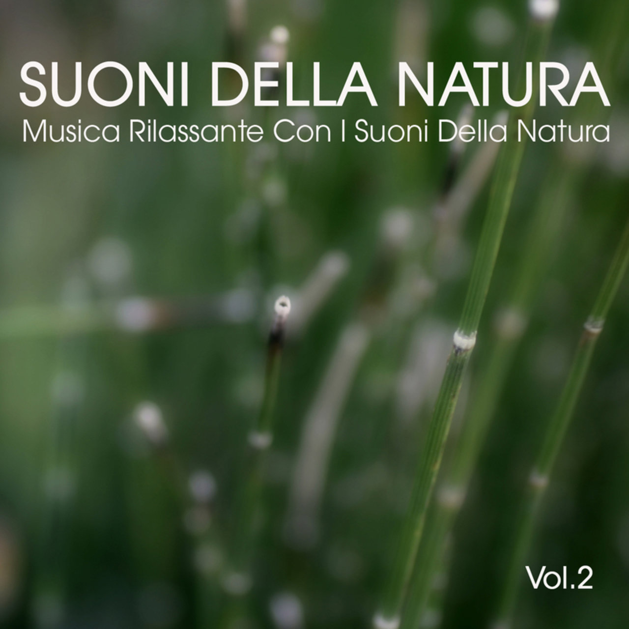 TIDAL: Listen to Musica Rilassante per Dormire, Suoni della Natura ...
