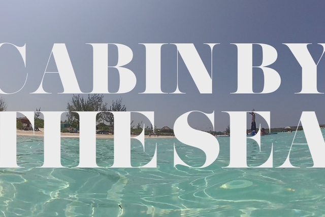 Cabin By The Sea Lyric Video By Dirty Heads On Tidal