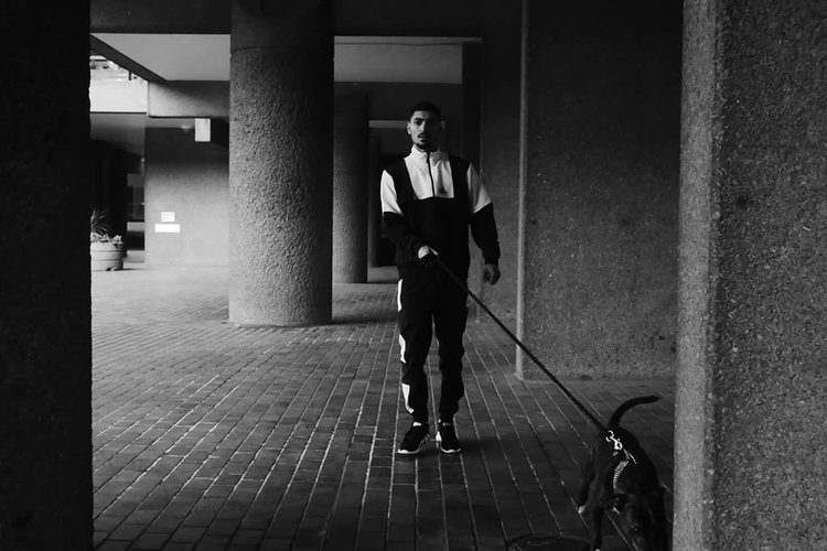 sneazzy n17 sneazzy n17